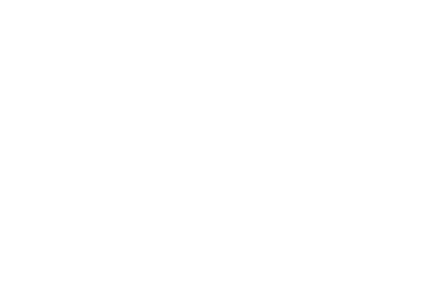 CLASSIC BODY CONTROL